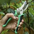 Stainless Steel Pruner Tree Plant Cutter Gardening Pruning Shear Trimming Pruning Scissors.