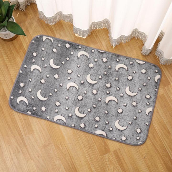 40*60cm%20Luminous%20Entrance%20Door%20Mat%20Soft%20Fleece%20Floor%20Carpet%20Glowing%20in%20the%20Dark%20Anti-Slip%20Bath%20Mat%20Bathroom%20Rug%20Kitchen%20Doormat%20-%20Image%202