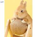 Rabbit Scratching Ball Wooden Rack Durable for Rabbits Small Animals Ferrets. 