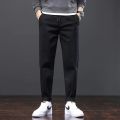 Mens Pants Cotton Casual Stretch male trousers man long Straight High Quality 4 colors Plus size pant suit 42 44 46 CY9112. 