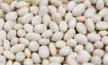 White Kidney Beans/ Rajma White- 500 gm. 