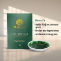 Wellessia Chlorophyll Facial – For Instant Glowing & Healthy Skin (Face pack)30 gm || Buy Skin & Beauty Care at Best Prices in Bangladesh.