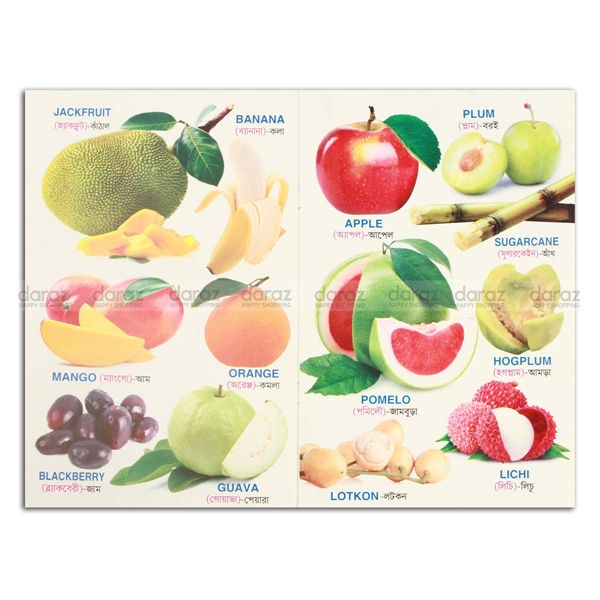 17%20PCS%20Laminated%20Kids%20Book%20Set%20Adarsha%20Lipi%20Computer%20Math%20Fruits%20Flower%20Bird%20Reptiles%20Picture%20Learning%20Alphabet%20Bengali%20English%20Arabic%20Letter%20Poem%20Children%20Early%20Education%20Preschool%20Kindergarten%20Toddler%20Fun%20Toy%20Study%20Prime%20Gift%20for%20Baby%20Boys/Girls%20Combo%20-%20Image%208