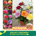 Global Mixed Rainbow Roses Flower Seeds - 30 Pcs Seeds. 