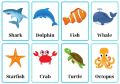 Fish Flash Card for Kids Early Learning 24 Cards. 