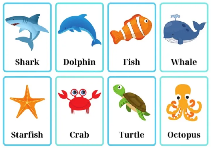 Fish%20Flash%20Card%20for%20Kids%20Early%20Learning%2024%20Cards%20-%20Image%204