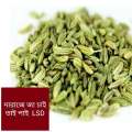 Fennel Seed  pan Mouri  100 gmClean. 