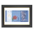 Different Banknote Frame Collection (Choose Your Frame from color family). 