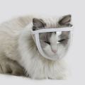5211JEW Transparent Chewing Safety Anti Bite Pet Product Cat Muzzle Kitten Muzzles Bathing Grooming Tools Mouth Guard.