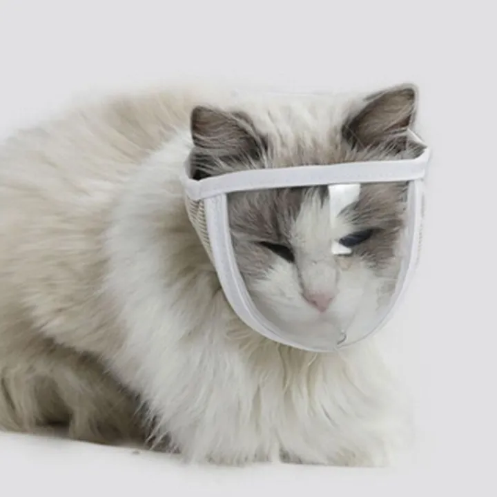 5211JEW%20Transparent%20Chewing%20Safety%20Anti%20Bite%20Pet%20Product%20Cat%20Muzzle%20Kitten%20Muzzles%20Bathing%20Grooming%20Tools%20Mouth%20Guard%20-%20Image%207