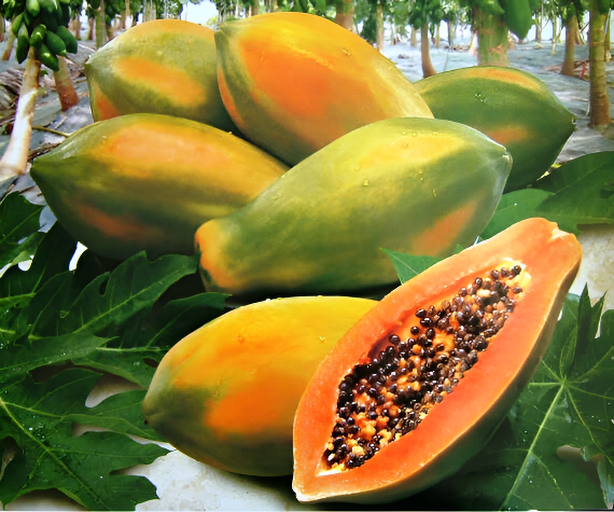 Organic%20Hybrid%20Papaya%20Seeds%20-%2020+%20Pcs%20Seeds%20-%20Image%205