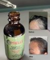 Mielle Rosemary Mint Scalp & Hair Strengthening Oil 59 ml. 