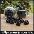 Hybrid mulberry fruits seeds 35 pice + gift. 