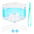 DIY Moisture with Feeding Area Ant Nest Ant Farm Ant Nests Villa Pet. 