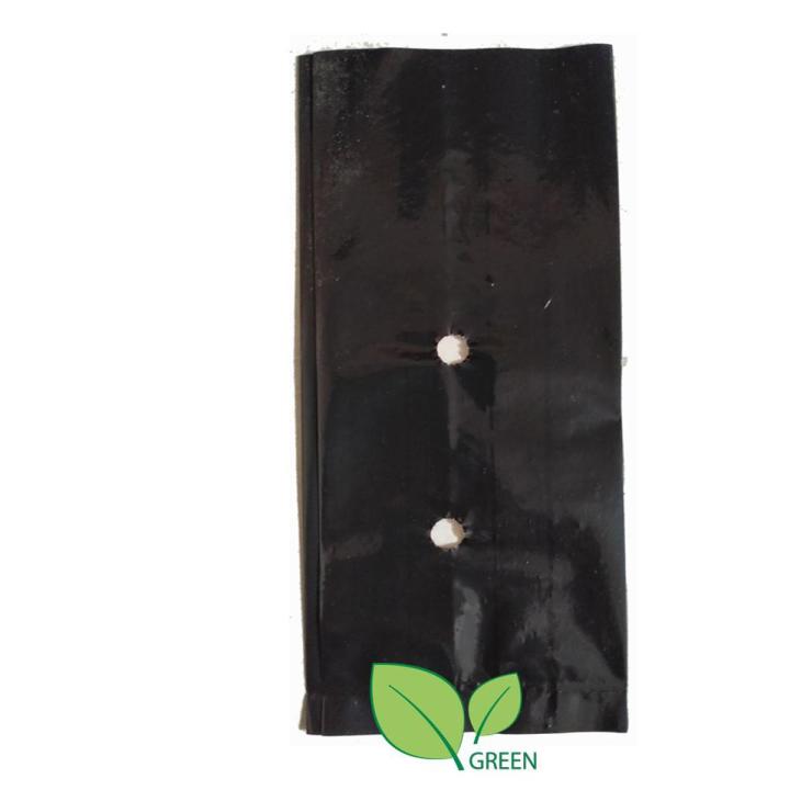 Nursery Black poly 6x6 inch 50 pcs folding system