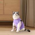 Cat Recovery Suit Outfits Prevent Licking Pets Clothes for After Spay Kitten S. 