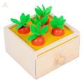 Drawer Toy Montessori Box Wooden Preschool Learning. 