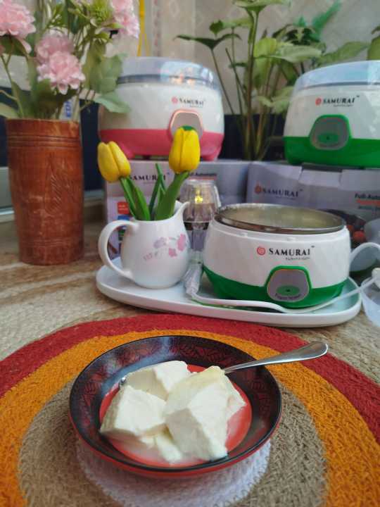 Samurai%20Yogurt%20Maker%20(1.5%20L)%20/%20Automatic%20Doi%20Maker%20%E2%80%93%20Homemade%20Curd%20&%20Flavoured%20Yogurt%20Machine%20-%20Image%206