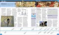 Science Year by Year: The Ultimate Visual Guide to the Discoveries That Changed the World Hardcover. 