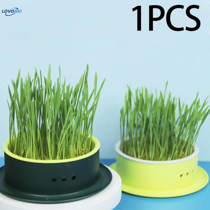 Box Cats Snack Tray Cats Grass Planting Box Tray Green Base Yellow