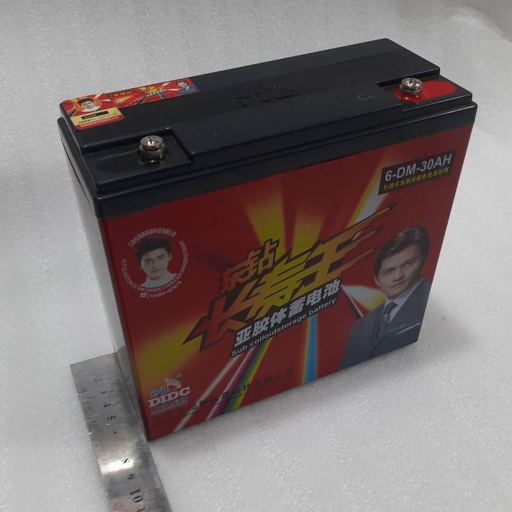 12v%20Dry%20Cell%20Battery%2030A%20for%20IPS%20UPS%20Ebike%20Solar%20-%20Image%208