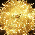 Decorative Fairy Lights - 33 Feet. 
