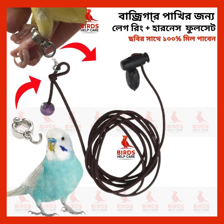 Birds%20leg%20chain%20harness%20cocatail,conure,ringneck%20tiya,love%20bird%20etc%20-%20Image%205