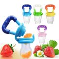 Fruit Feeder Pacifier - Infant Teething Toy Teether.
