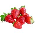 Red Strawberry Imported Global Seeds -30 pcs Seeds. 