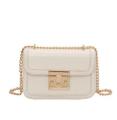 A shoulder women's bag, a foreign bag, a fashion texture chain, a 2023 new stone pattern, a simple bag, a crossbody lock, a small square bag. 