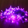 Decorative Fairy Lights -Purple - Fairy Lights.