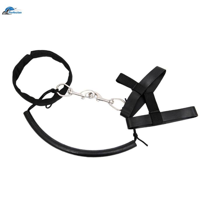 Diving%20Tank%20Hoop%20Retainer%20Band%20Strap%20Stainless%20Steel%20Elastic%20Rubber%20Bands%2011%20to%2012L%20-%20Image%205