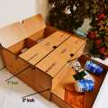 Large Size Medicine Organiger Box -Medicine Box.