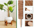 12 Inch Coir Grow Stick – 3Pcs.