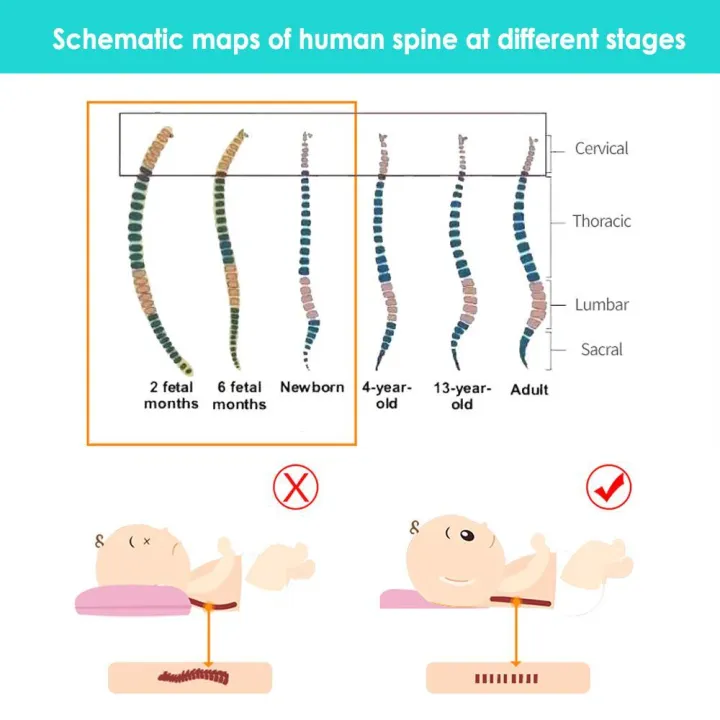 Goglor%20Washable%20Baby%20Head%20Shaping%20Pillow%20for%20Newborn%20Baby/Soft%20Memory%20Foam%20Infant%20Pillow%20to%20Prevent%20Flat%20Head,Best%20Perfect%20for%200-12%20Months%20Baby%20-%20Image%206