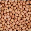 China Badam, Peanuts,(Raw Brown Skin) - 1Kg. 