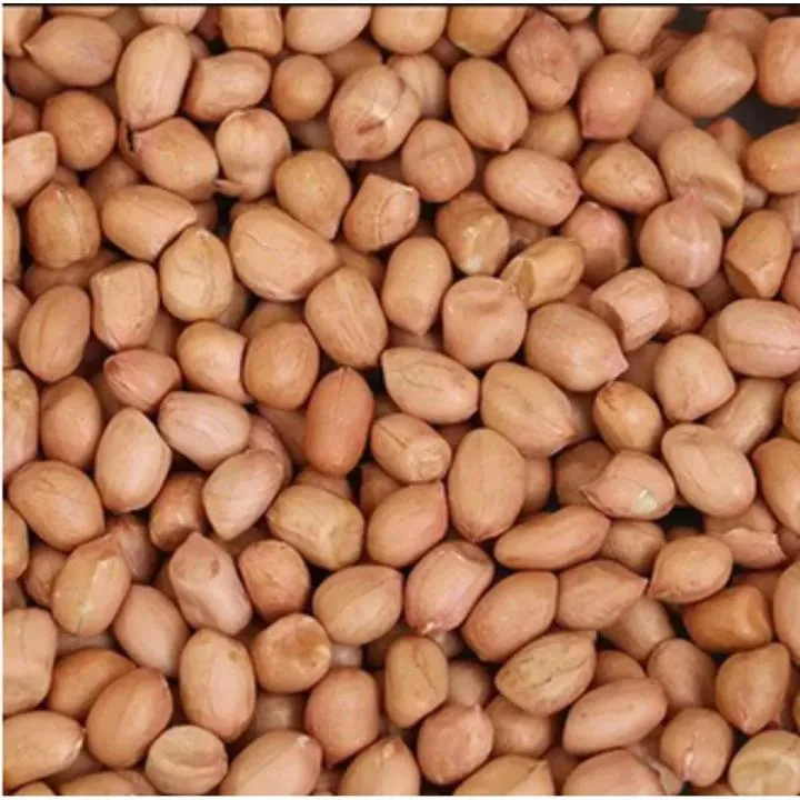 China%20Badam,%20Peanuts,(Raw%20Brown%20Skin)%20-%201Kg%20-%20Image%202