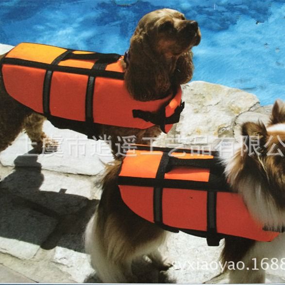 Pet life jacket Outdoor dog swimming Training Swimming suit