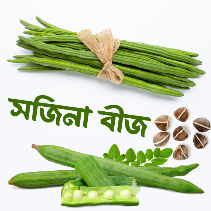 All season moringa (sojina) seeds 10 pice. The best herbal sajina vegetable seeds