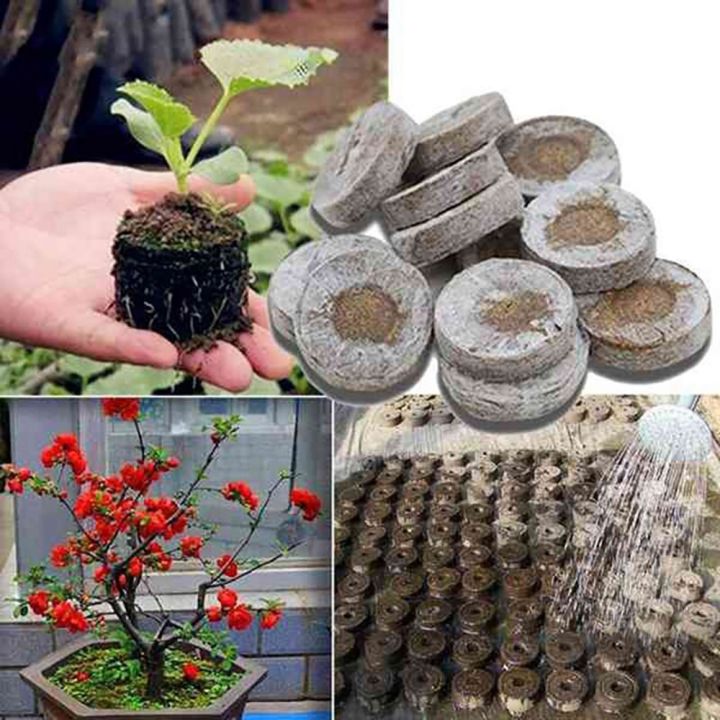 110%20Pcs%20Professional%20Peat%20Pellets%20Plant%20Starting%20Soil%20Block%20Seedling%20-%20Image%205