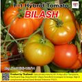 F1 Hybrid Tomato Seeds 20 pcs - CityBD Mart টমেটো বীজ.