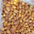 Zahidi Dates/ Jahidi Khejur/ Zahidi Dates- 1 kg. 