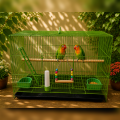 Premium Coloring Rectangular Flight Bird Cage for Lovebirds, Budgies, and Finches – Complete Setup with Swing, Ladder, Wood Perch, Feeding Cups, and Removable Bottom Tray.