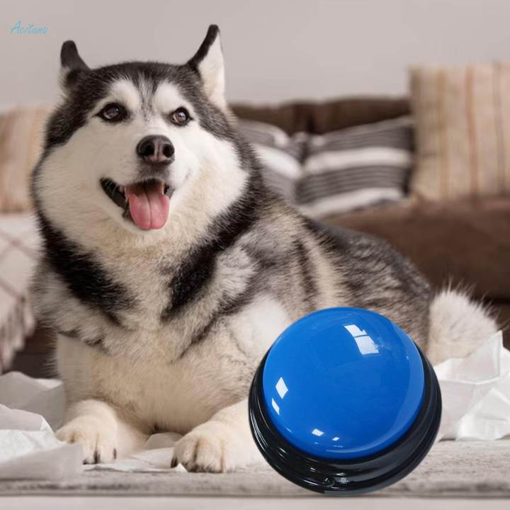 Interactive Toy Pet Training Communication Message Recording Sound Button