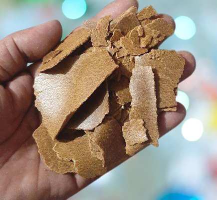 Porno Silai sikildi Dunyodagi eng shafqatsiz jinsiy aloqa onlayn