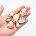 5pcs Natural Shell Pendant Conch Shell Charms For Jewelry Necklace Making DIY EarringPendant Gift Accessorie Wholesale. 