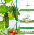 Plastic Macha Net | Long Lasting| Fresh and Perfect Measurrment for Roof Garden and Professional Gardener..