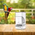 Bird Feeder Sturdy Clear Food Container for Canary Cockatiel Budgies transparent.