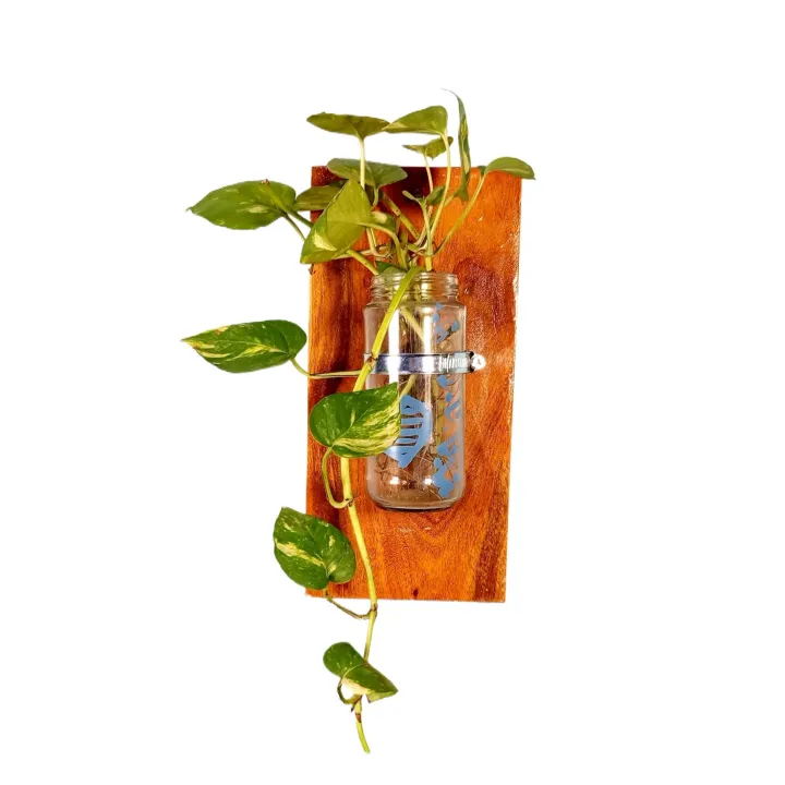 Wall%20hanging%20flower%20Vase%20with%20SS%20clam%20of%20natural%20wood%20and%20glass%20for%20Home,%20office%20and%20living%20room%20.%20(With%20Plant/Without%20Plant%20)%20-%20Image%205