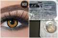 BELLA Cool Hazel Highlight Color Contact Lens  with kit box. Bella Highlight Series #h.coolhazel. 